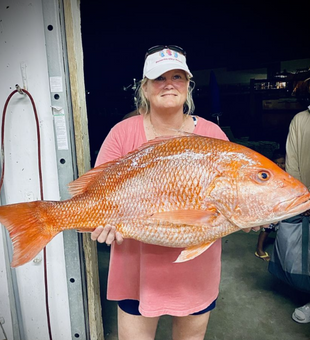 Snapper fishing in PCB!